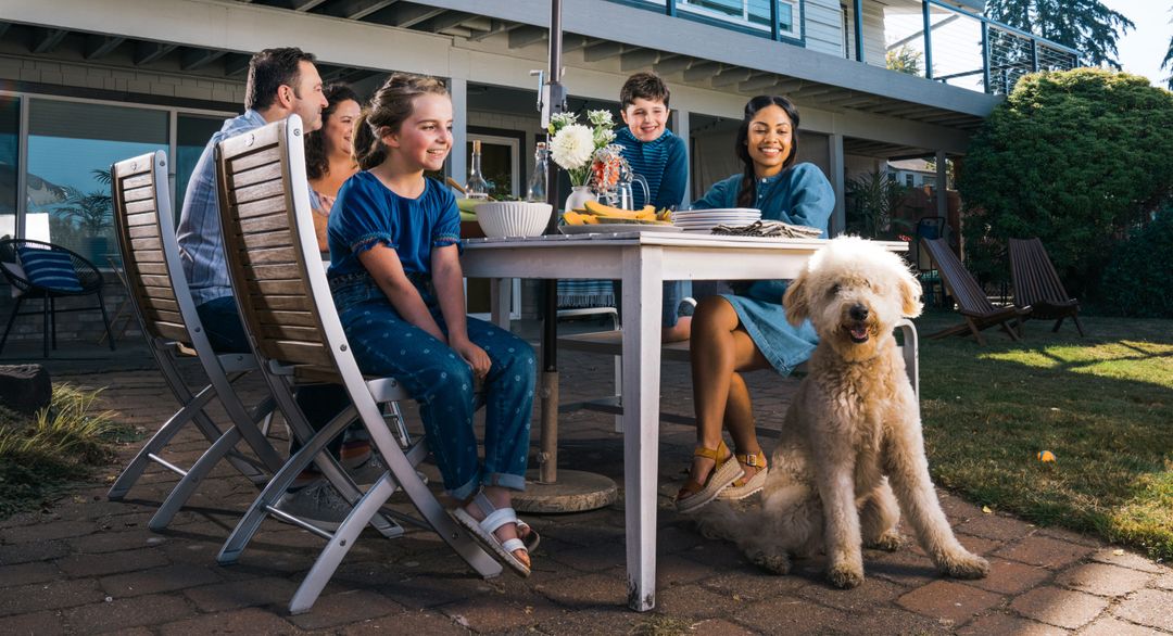 Indoor Dog Fences Dog Guard