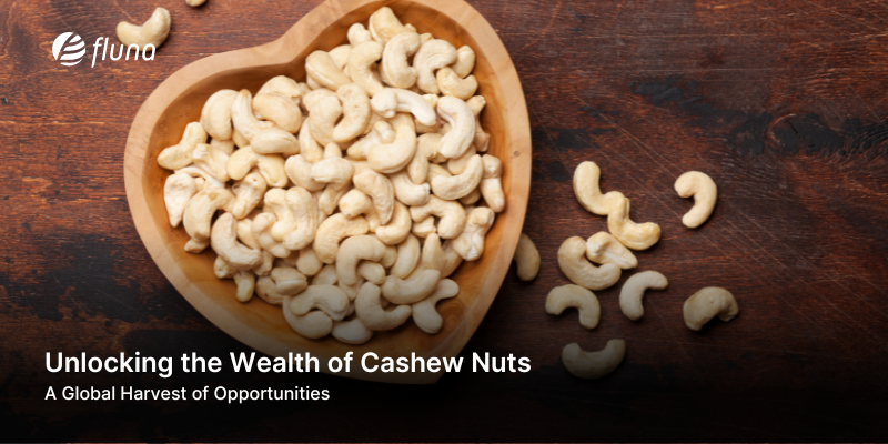 Unlocking the Wealth of Raw Cashew Nuts: A Global Harvest of Opportunities