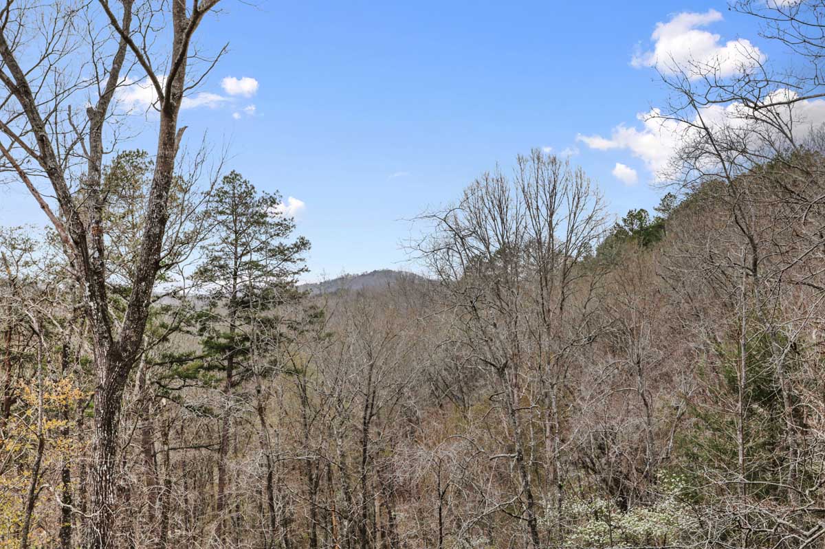 Fish Camp - Toccoa River Access — photo 35
