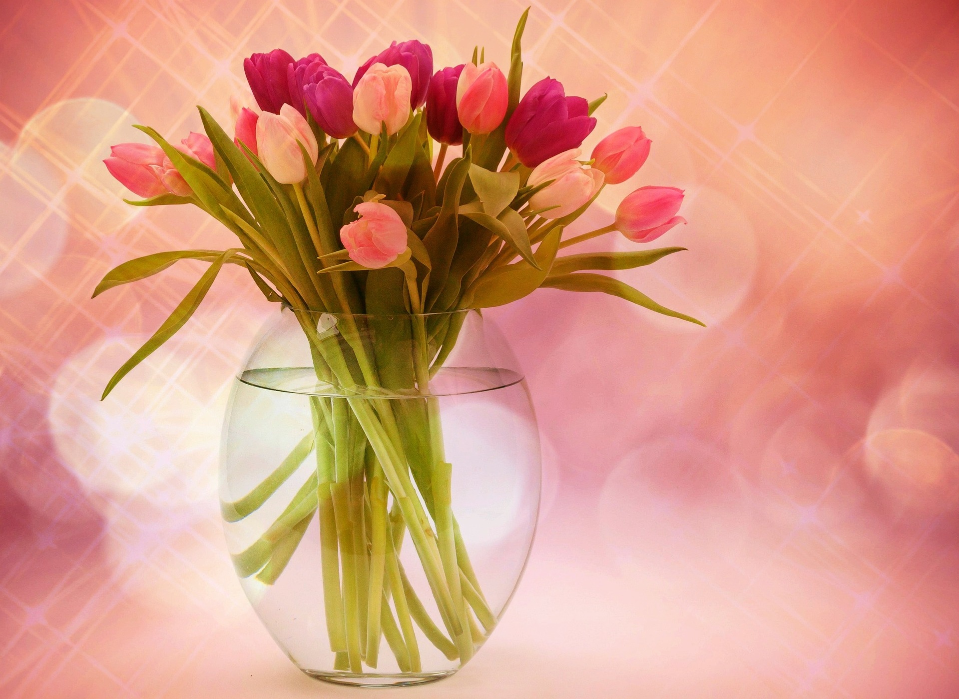 a vase of fresh and healthy tulips