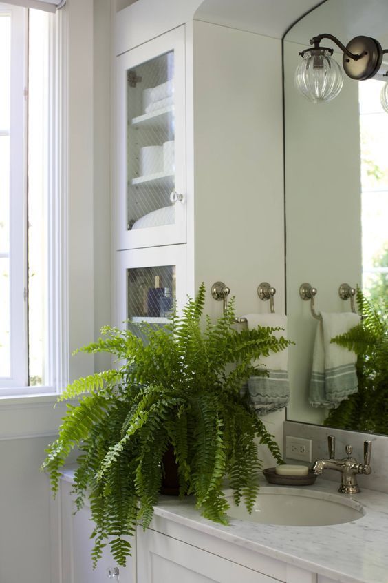 decoração banheiro com plantas