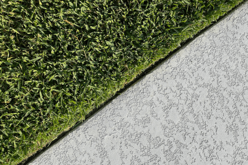 image (grass)