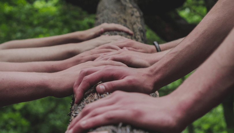 image (people hands)