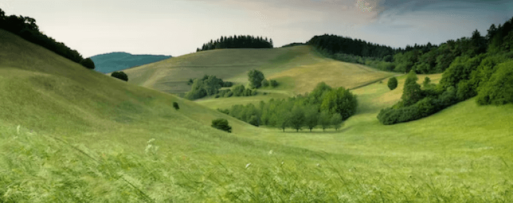 image (landscape)