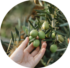 image (olive and hand)