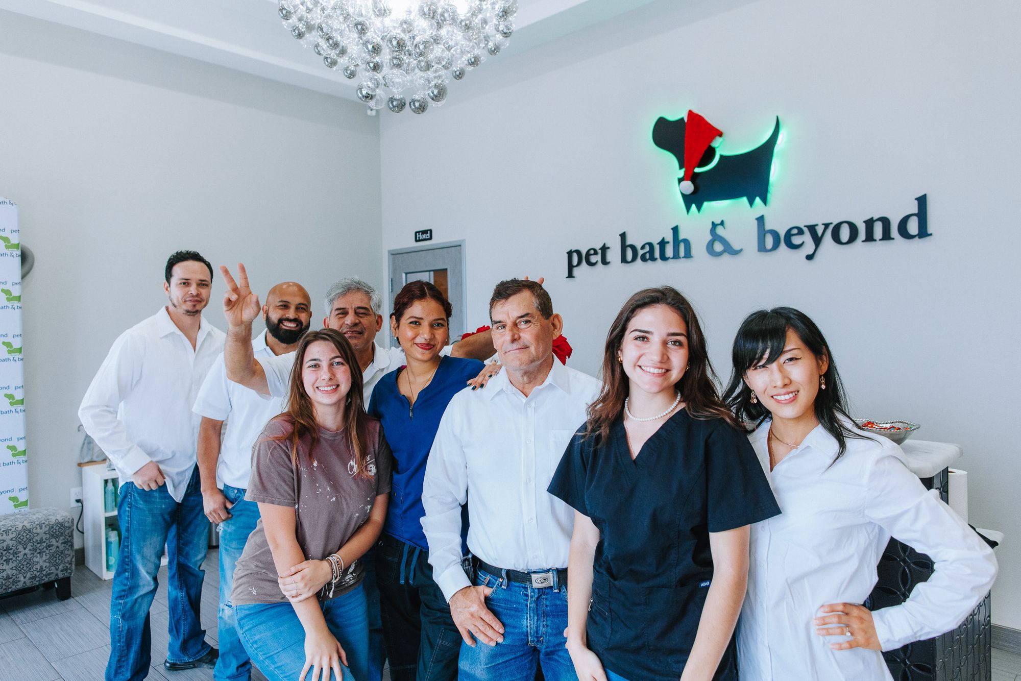 About Pet Bath and Beyond Premier Pet Grooming and Boarding in San