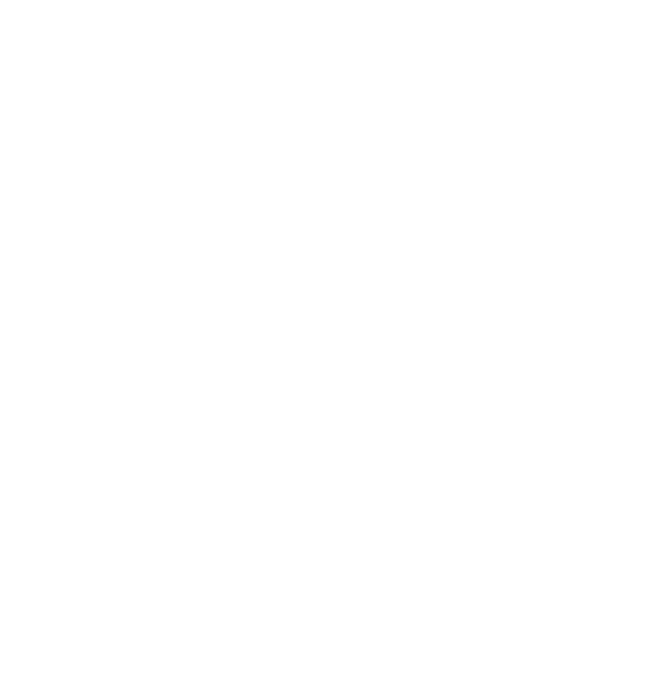 Quality essaay: 5 years of experience