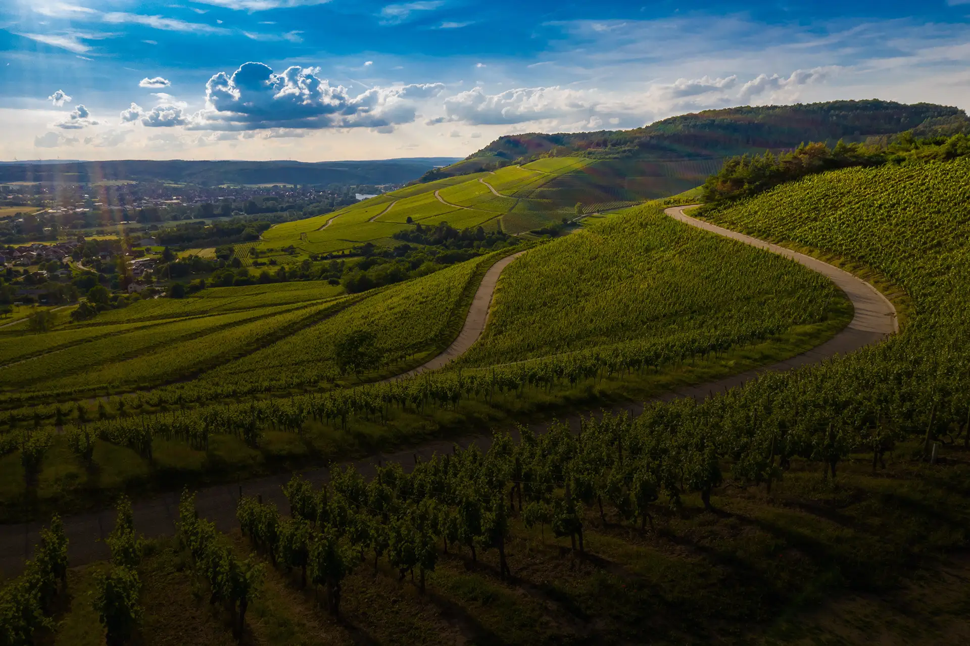 Vinerra Discover the wine regions of the world