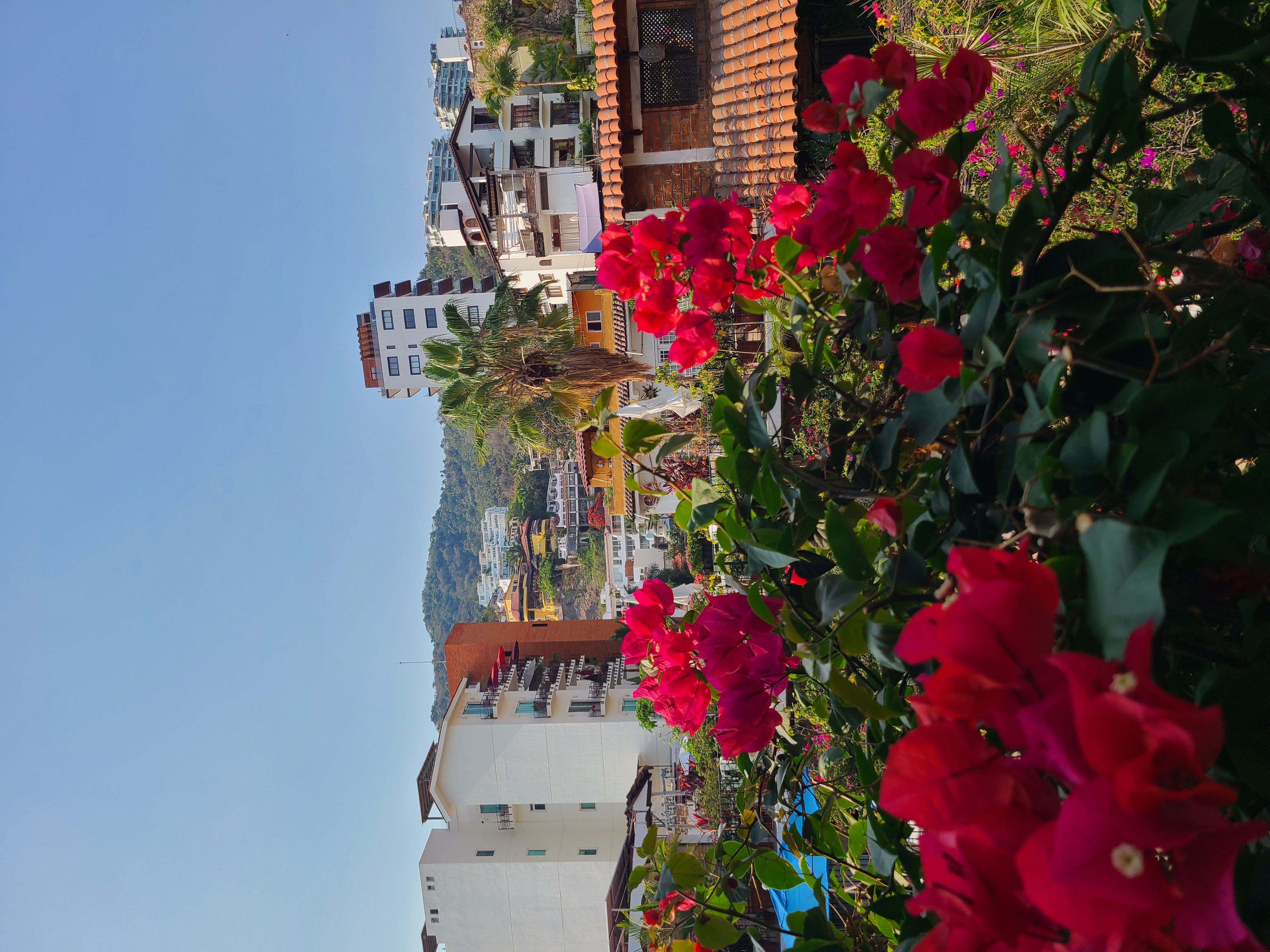 Pictures of Puerto Vallarta travel photo