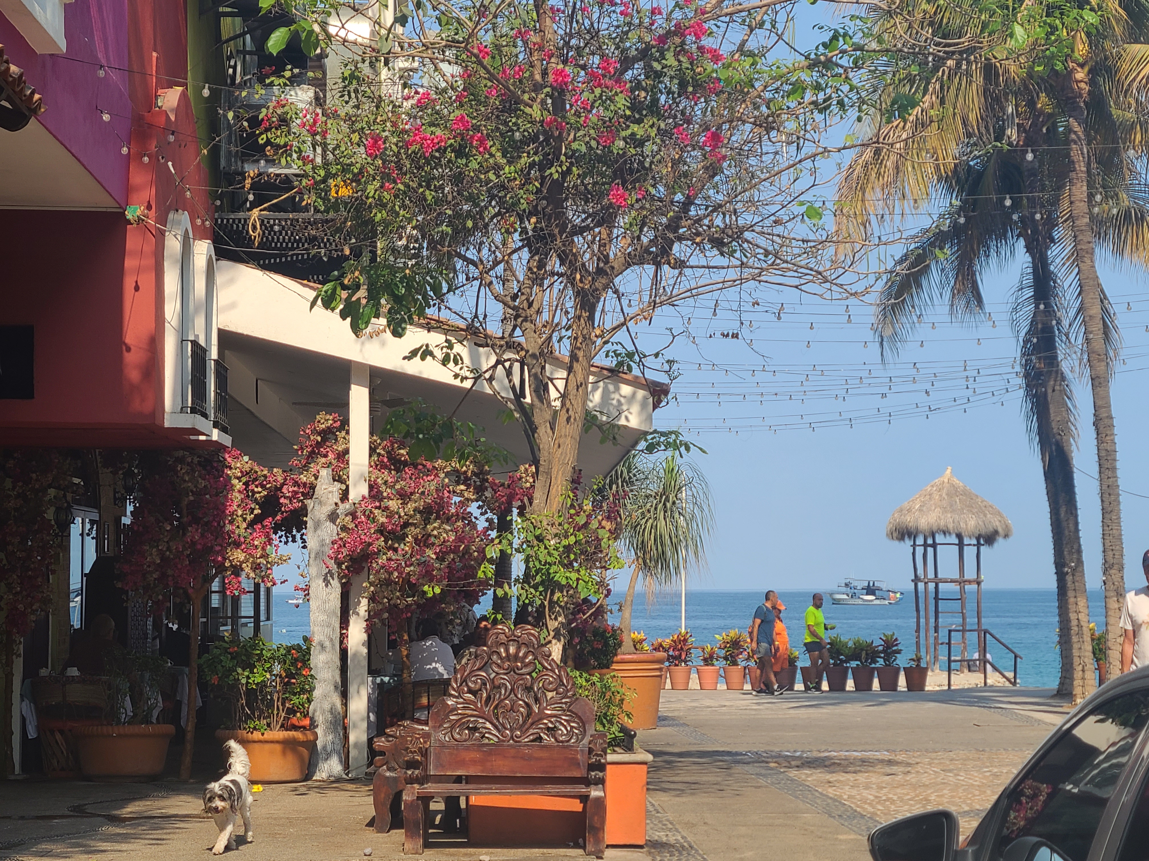 Pictures of Puerto Vallarta travel photo