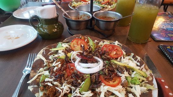 Food from the road