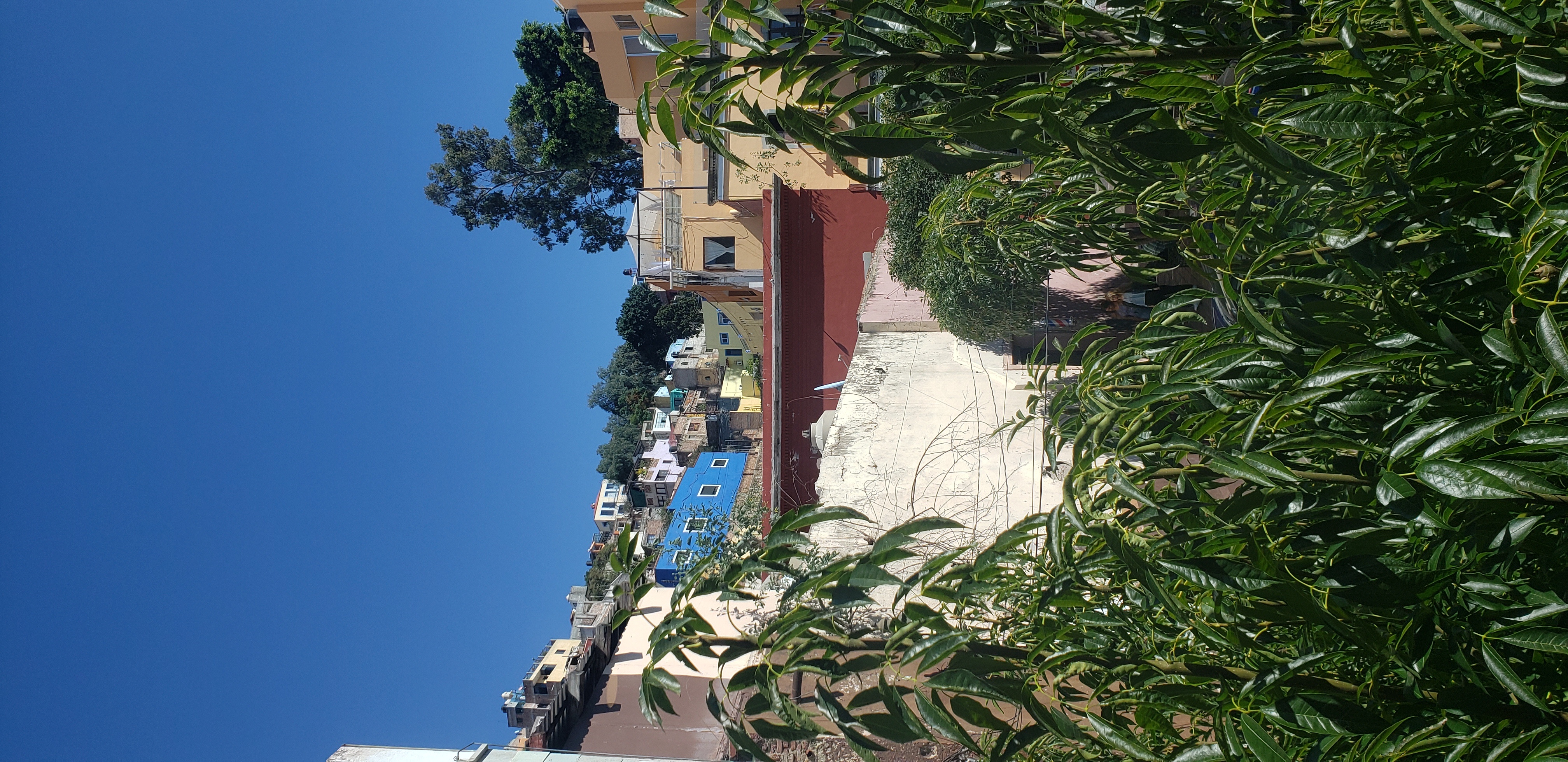 Pictures of Guanajuato travel photo