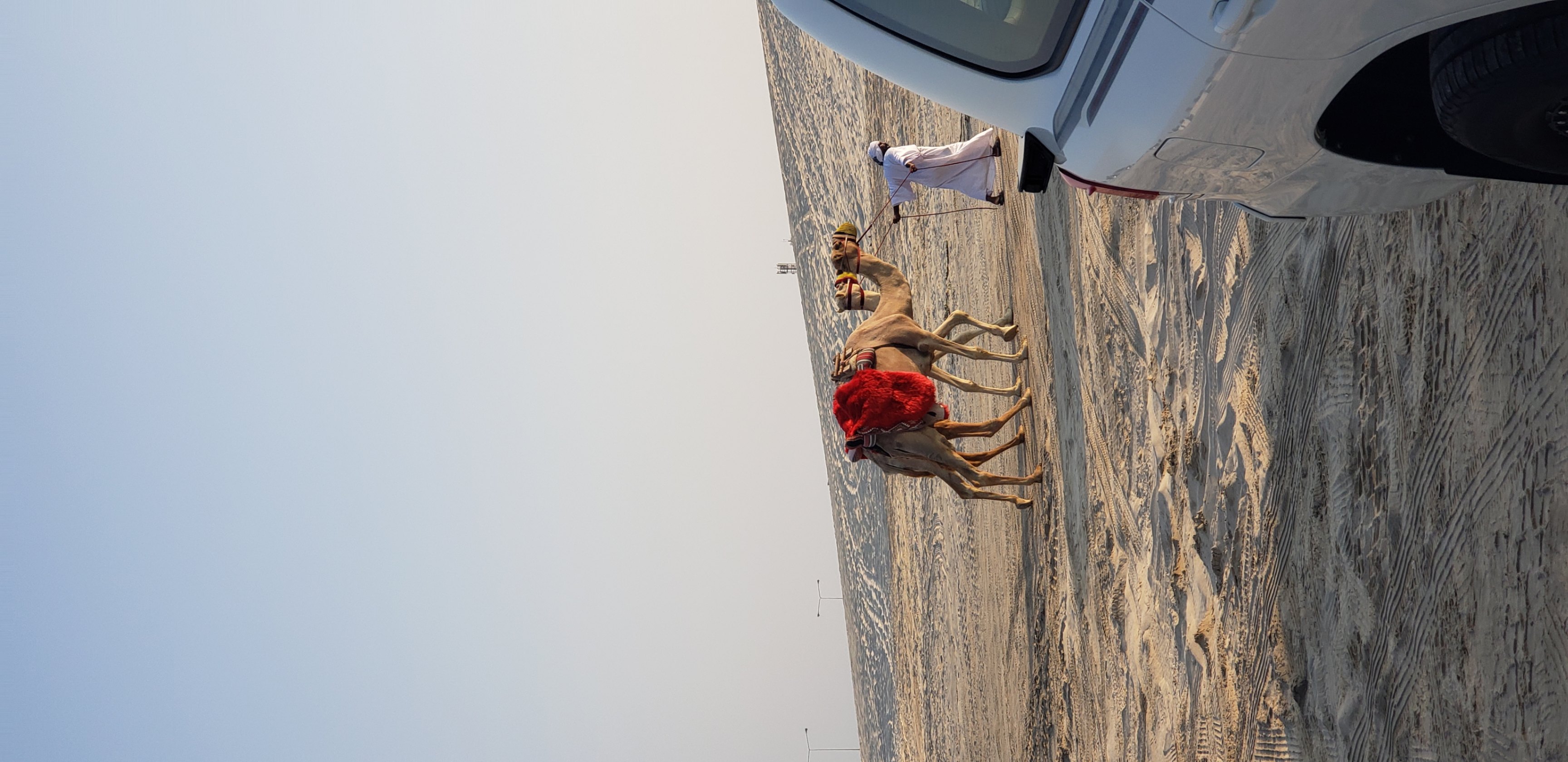 Pictures of Doha travel photo