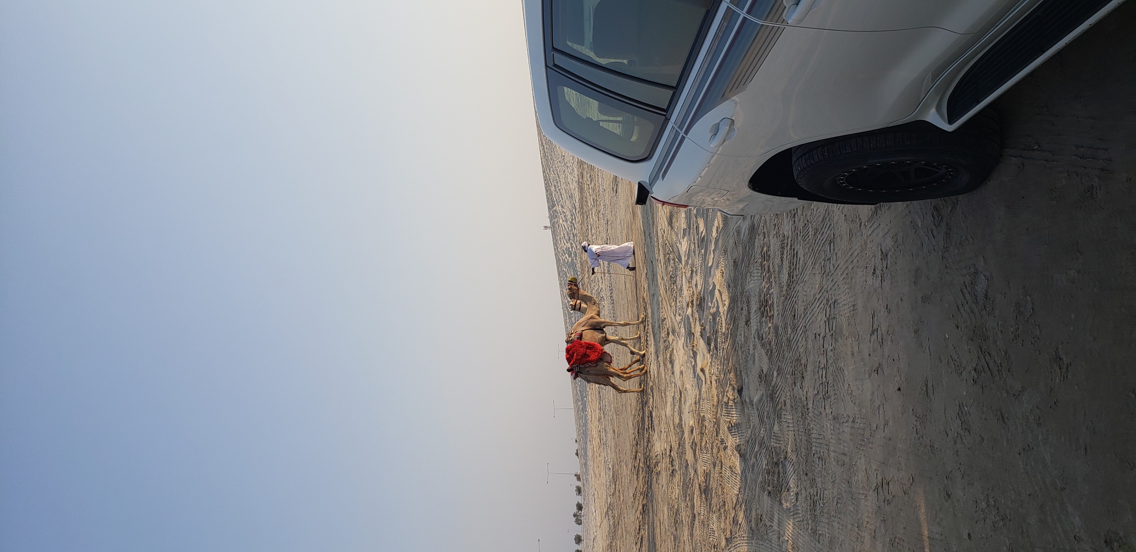 Pictures of Doha travel photo