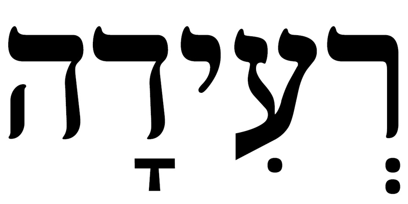 השבוע של הנגיד, שער הדולר, מבקר המדינה וחברות הנפט | מוסף כלכליסט