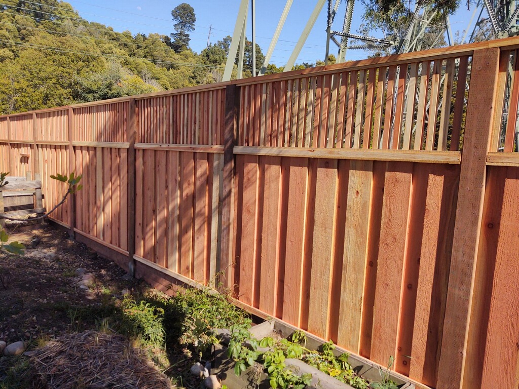 Everything You Need to Know About Fence Height article image
