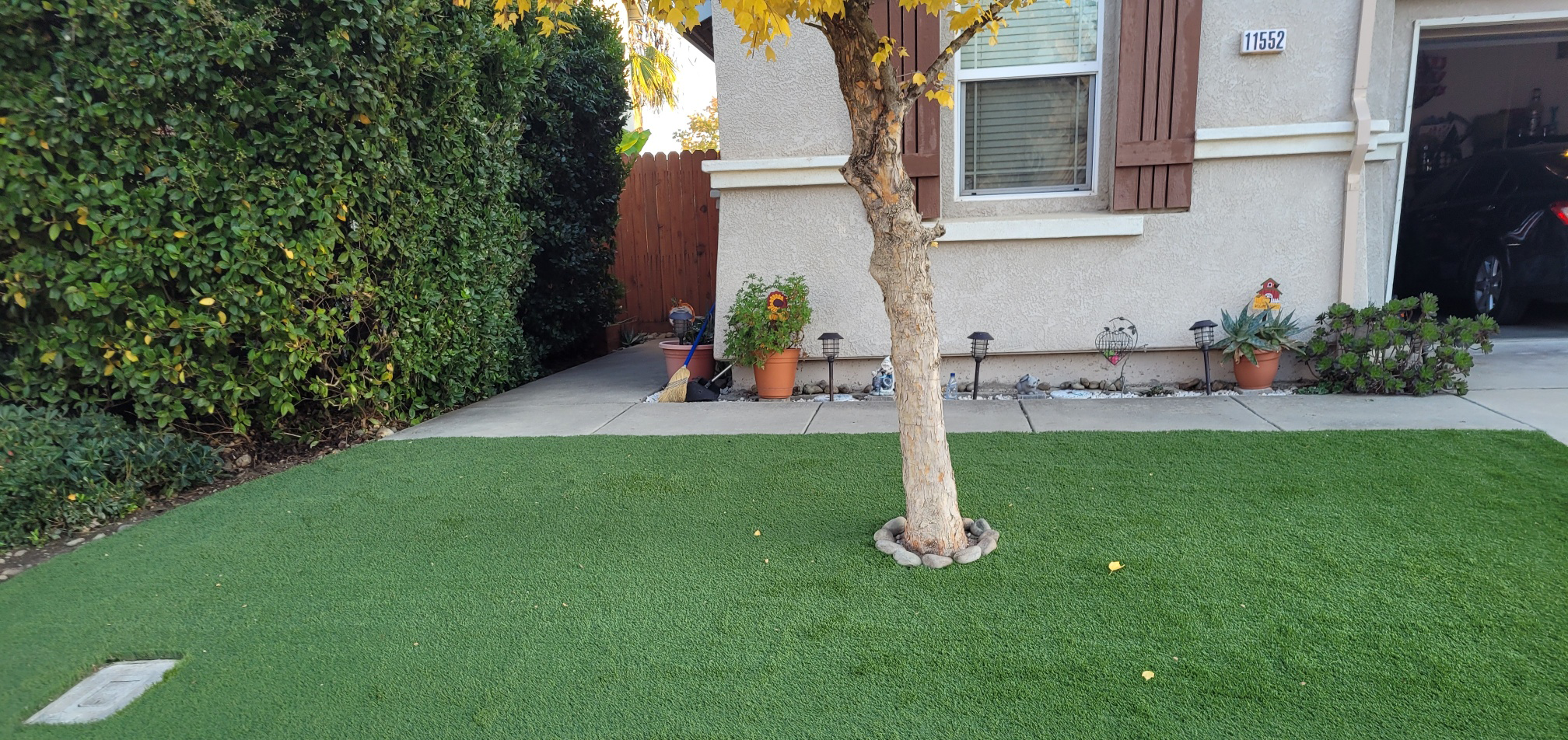 Artificial Grass Regulations article image