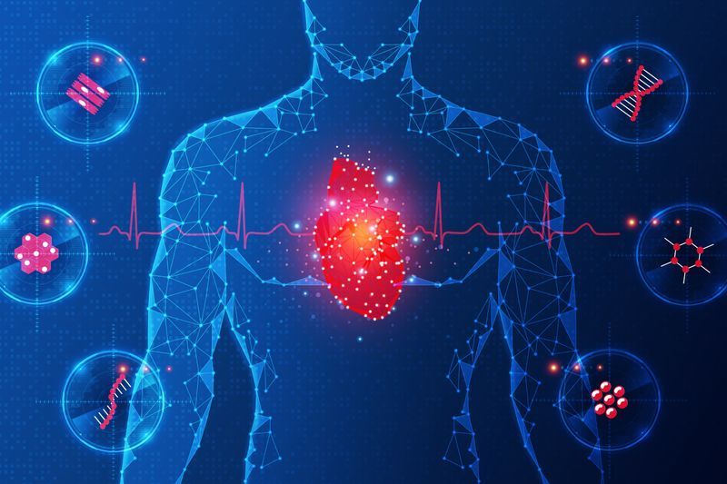 Cardiac Enzymes & Heart Attacks What To Know Carda Health