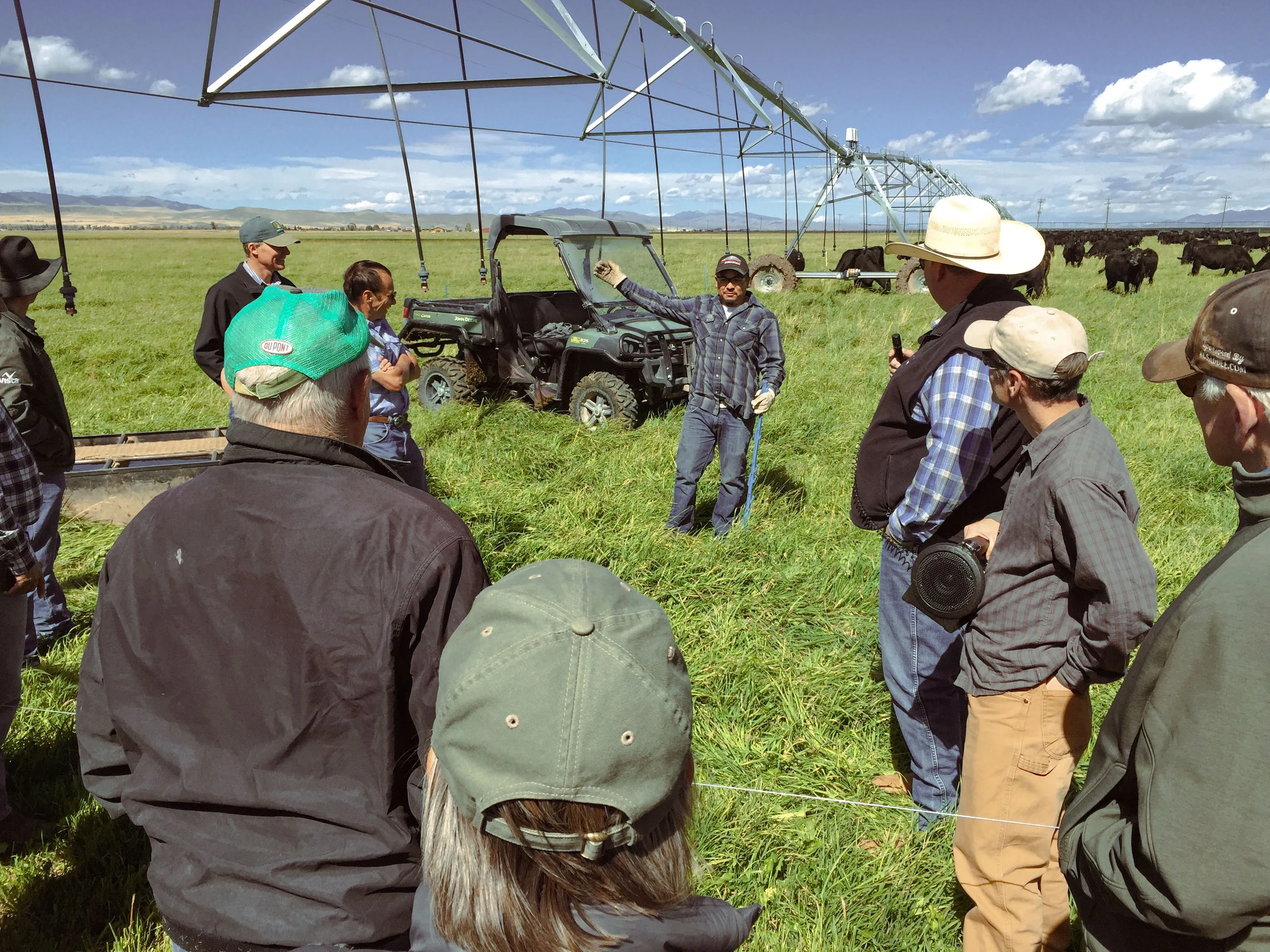Matador Ranch & Cattle | Where Nature & Agriculture Thrive