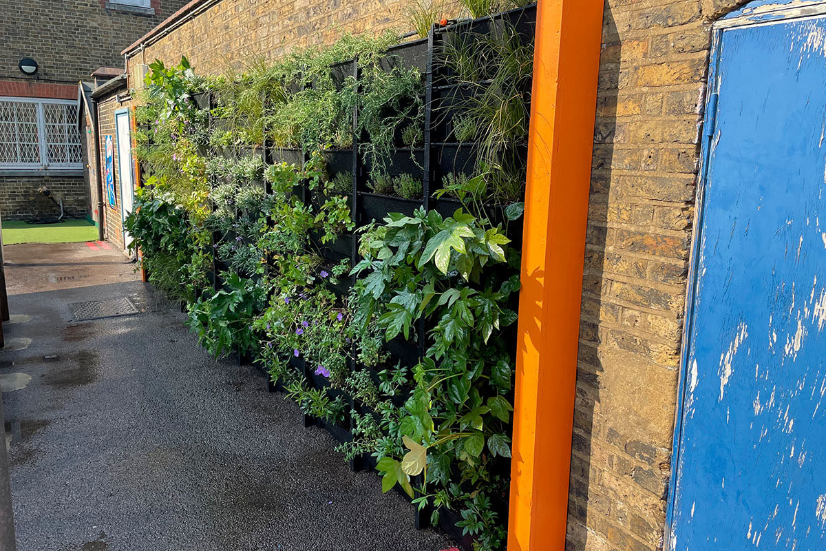 HHS Green Walls In Schools