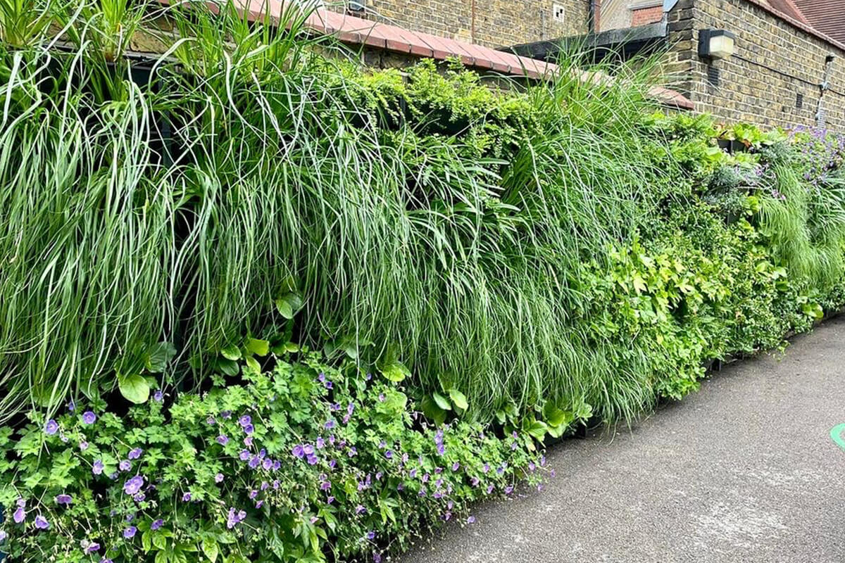 RHS Chelsea Flower Show 2023 Landscape + Garden Design by Harry