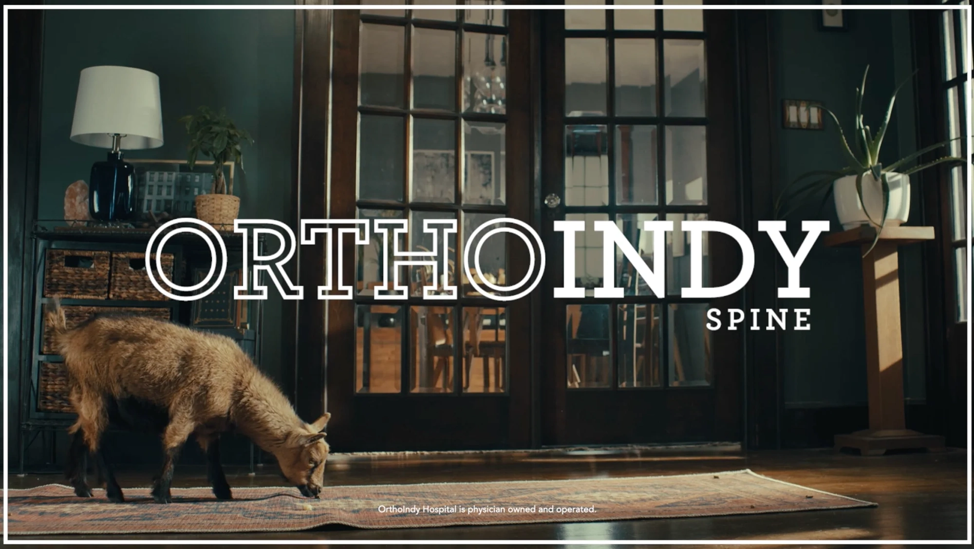 OrthoIndy | Bayonet Media