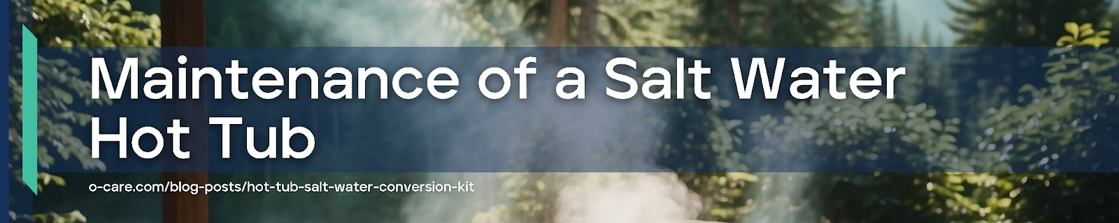 Maintenance of a Salt Water Hot Tub