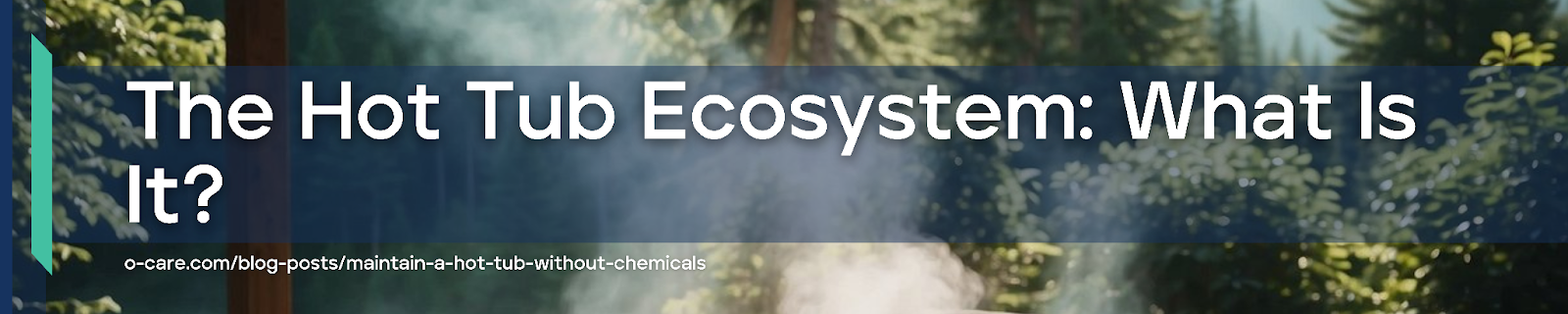 The Hot Tub Ecosystem: What Is It?