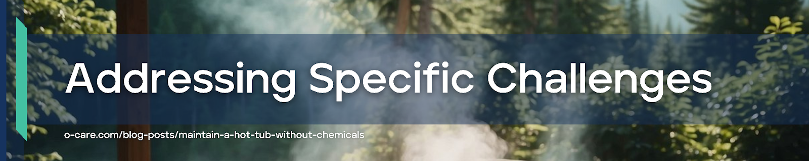 Addressing Specific Challenges