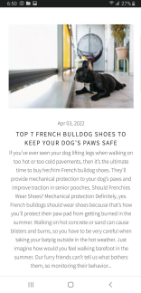 A dog lying on the floorDescription automatically generated with low confidence