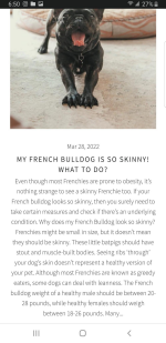 A picture containing text, black, mammalDescription automatically generated