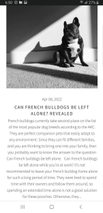 A picture containing text, cat, sitting, screenshotDescription automatically generated