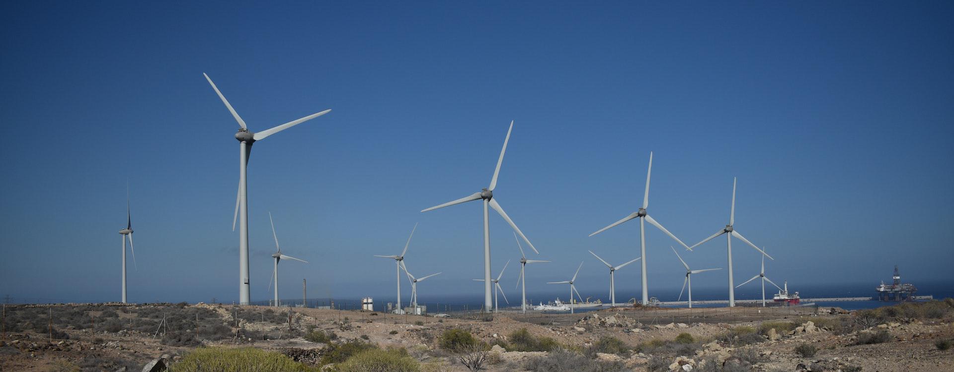 LP Image