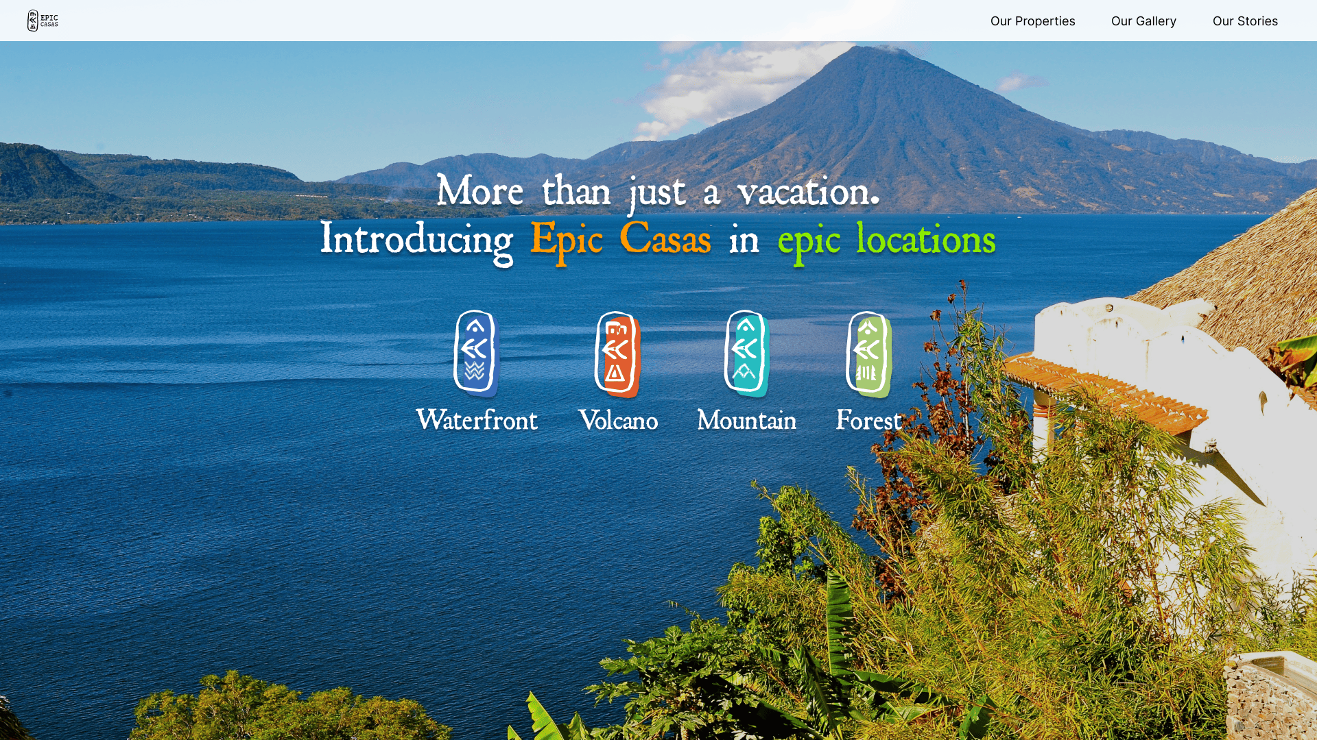 Website Design & Build
