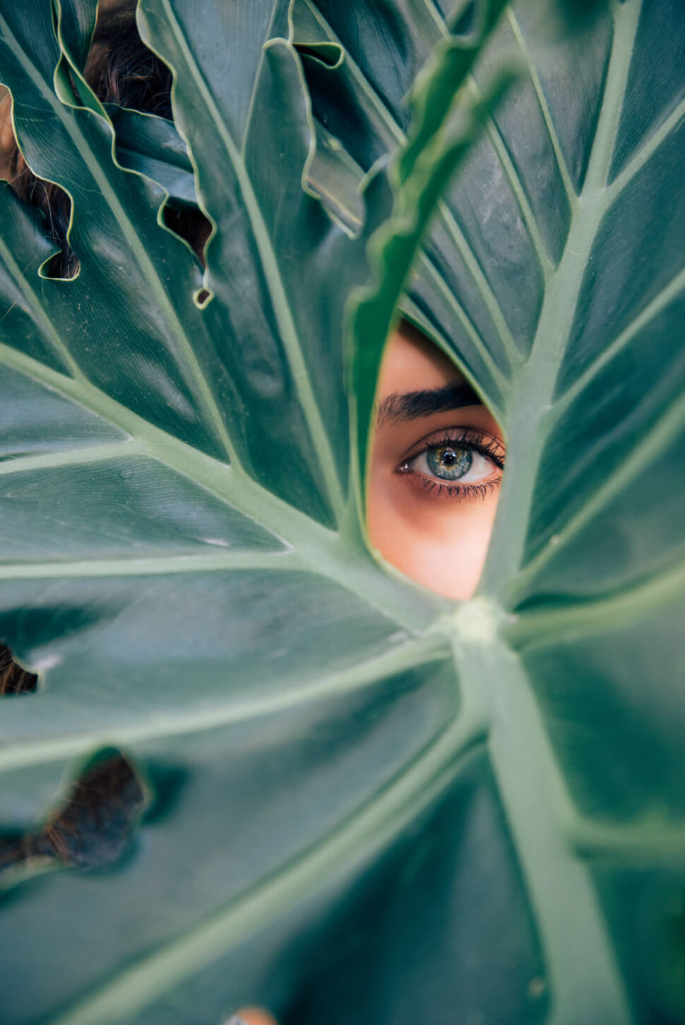Woman with blue eye peeking through a leaf