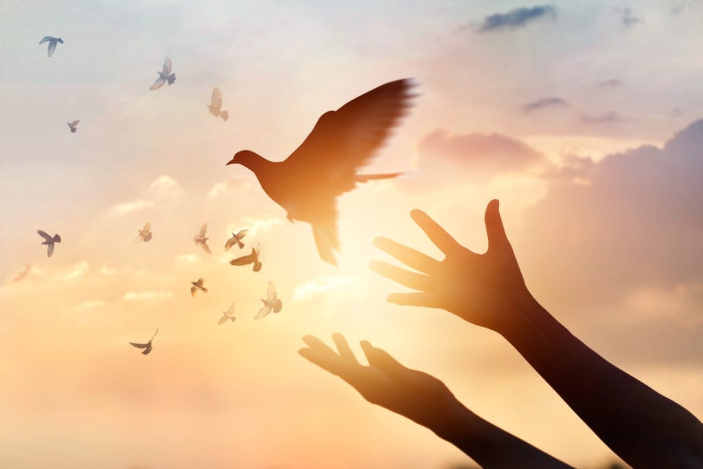 healing from sexual assault