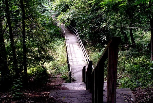 Allaire State Park