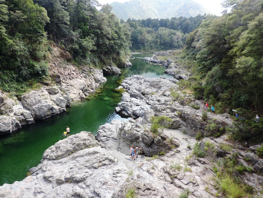 Between Blenheim and Nelson A Maverick Traveller
