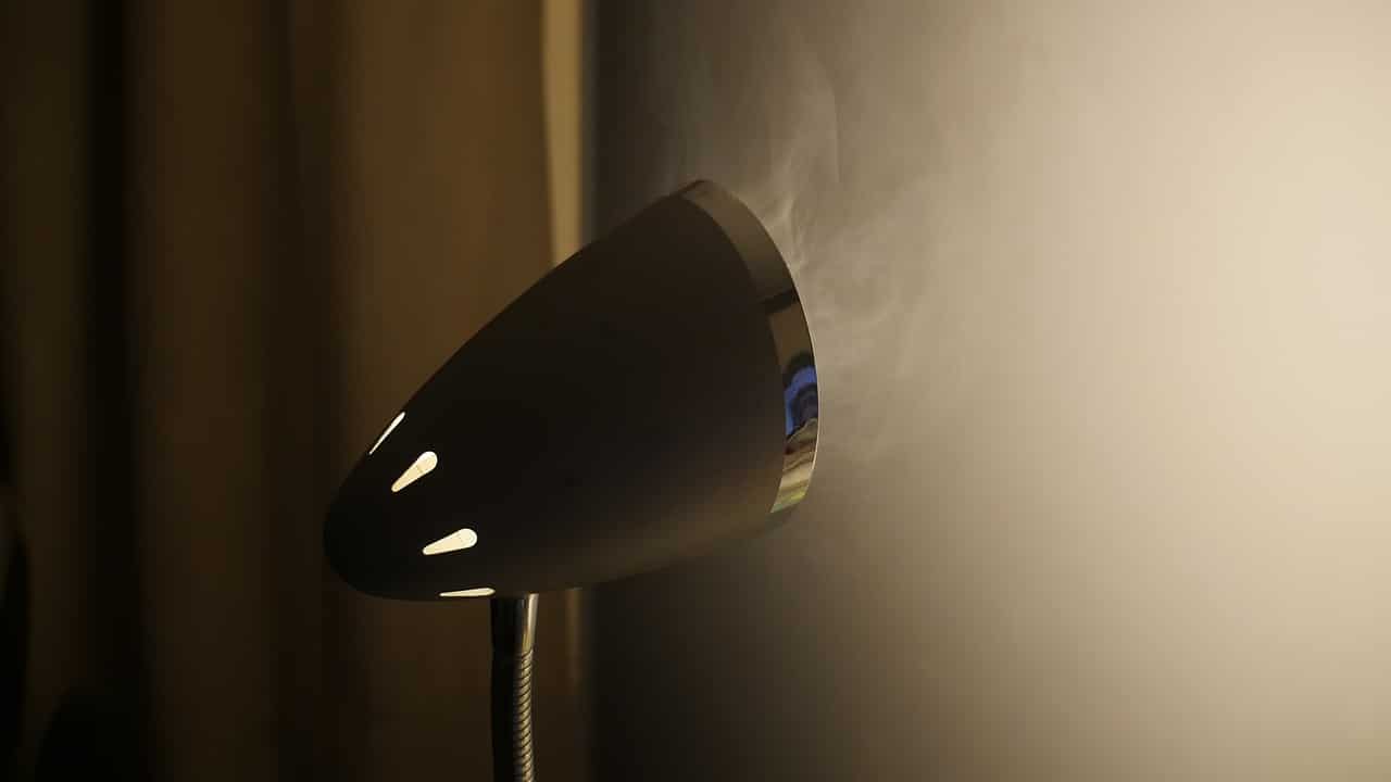 Best Heat Lamps For Dogs Little Pet Corner