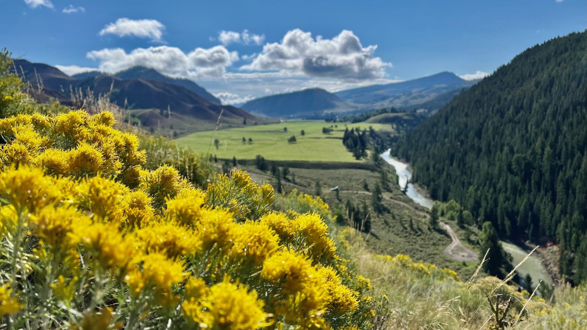 book-a-life-changing-summer-experience-today