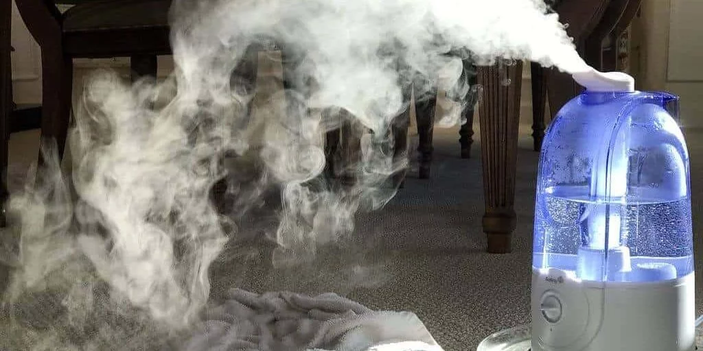 Vaporisers, Diffusers and Mould Should you be Concerned?