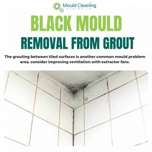 Black Mould Removal