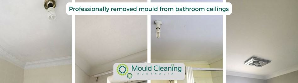 How to Remove Mould on Bathroom Ceiling