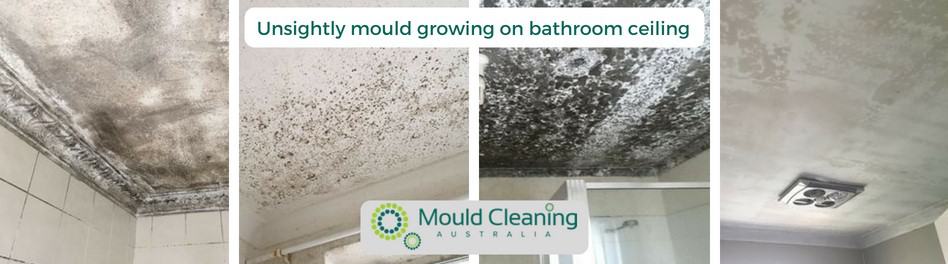 How To Remove Mould On Bathroom Ceiling