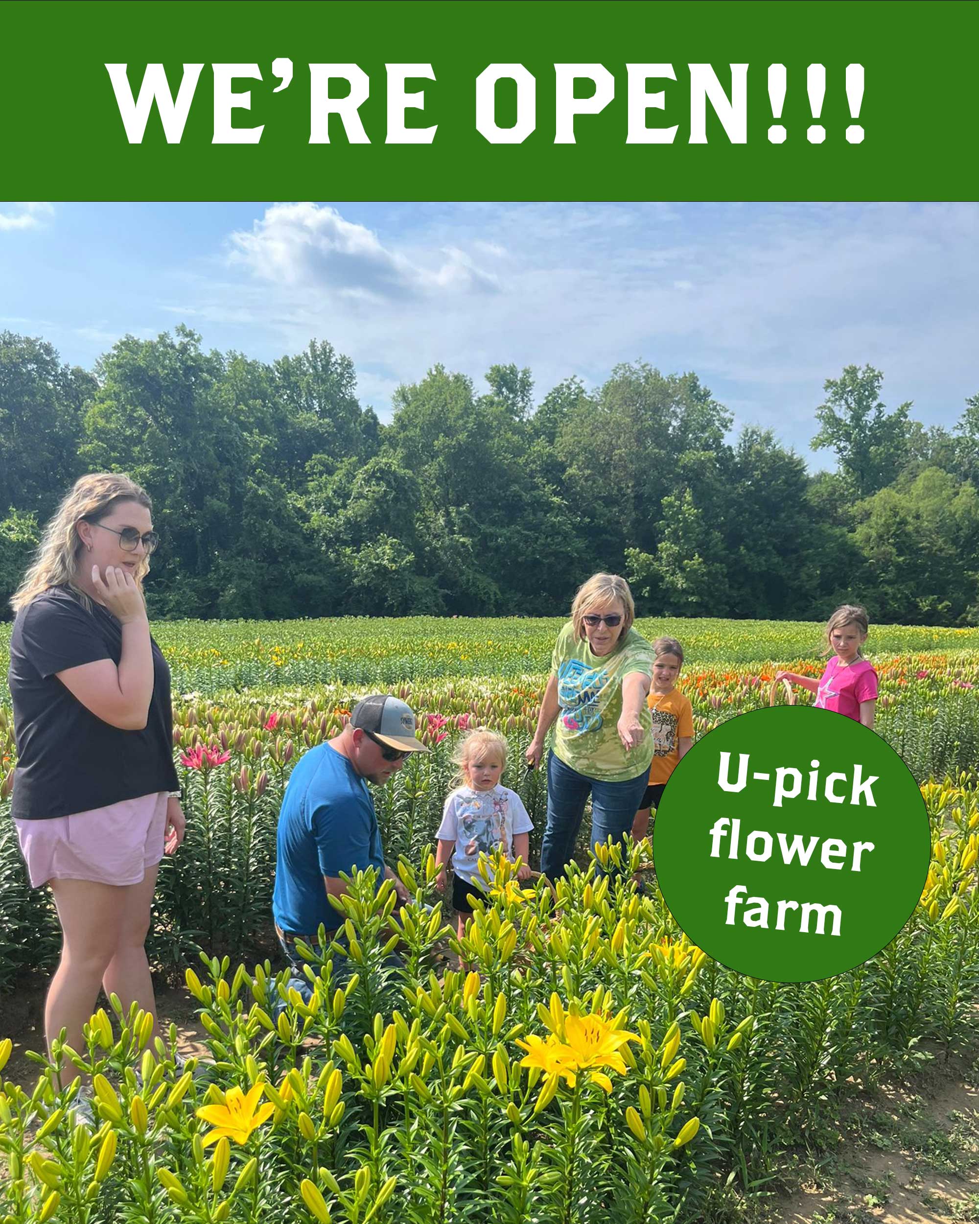 Lone Star Flower Farm Upick flower farm in Texas