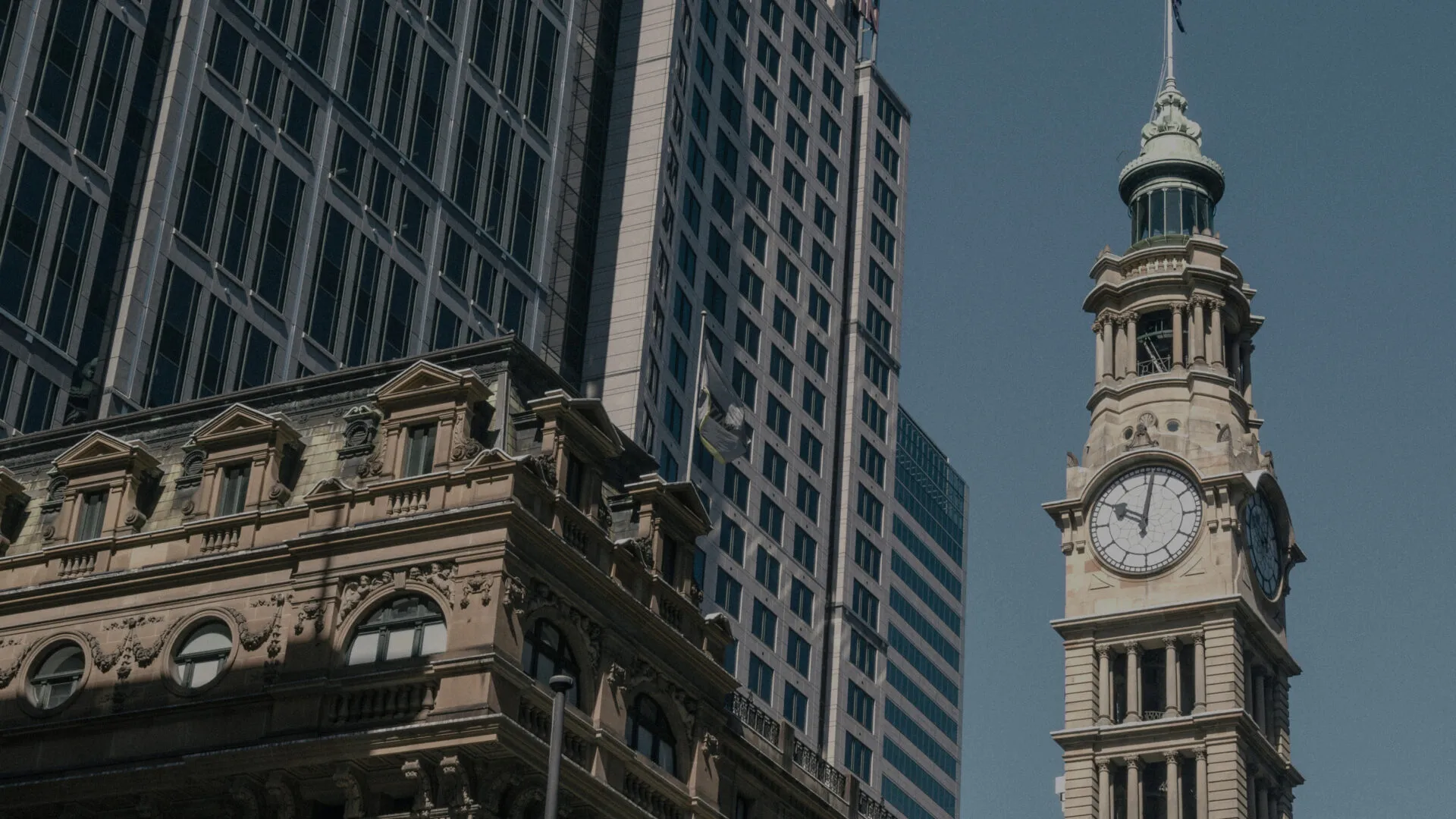 Introducers Dark Horse Capital