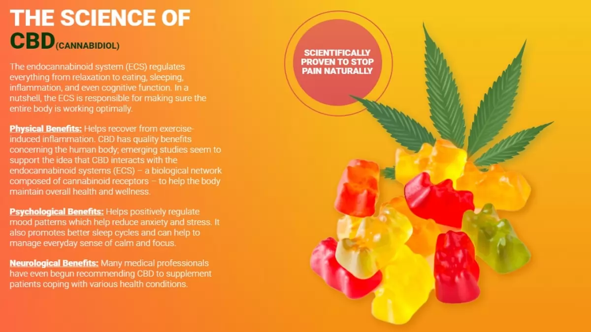 [#Ultimate] Rejuvenate CBD Gummies Reviews - You Must Need To Know