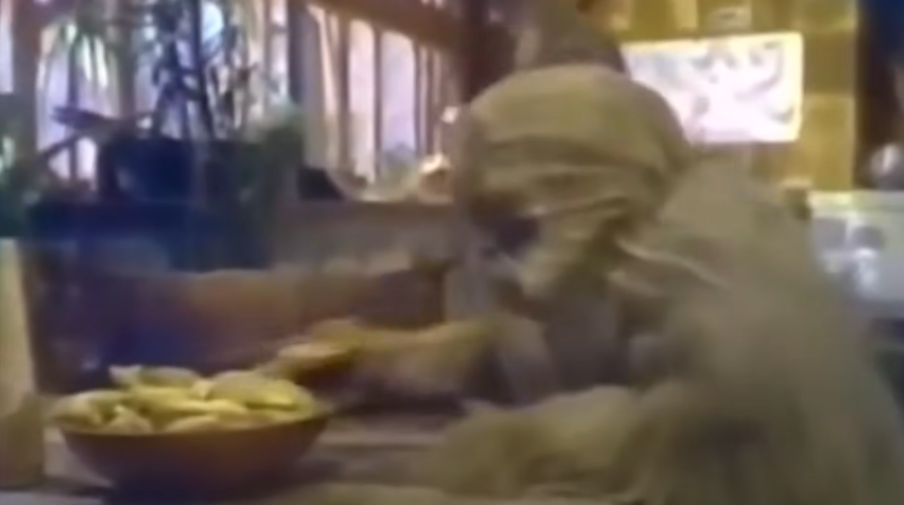 658082d000146960948d95e4_wookcook.png