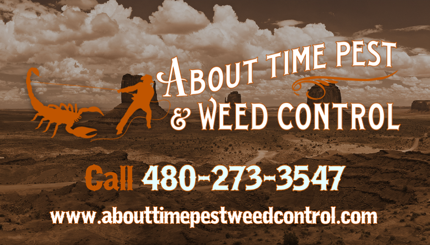 Contact • About Time Pest And Weed Control™
