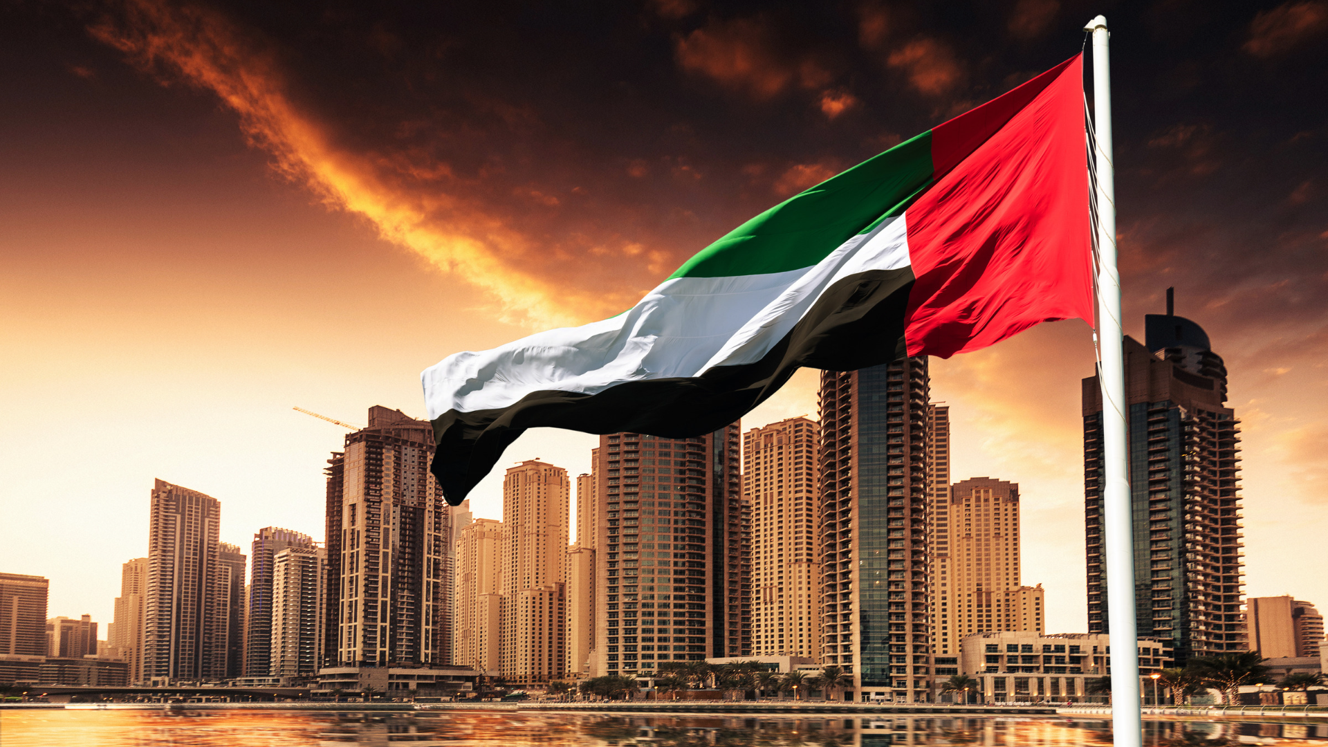 ضرائب الشركات في الامارات